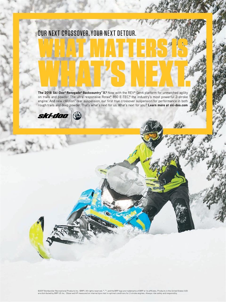 SnowGoer Preview Pages