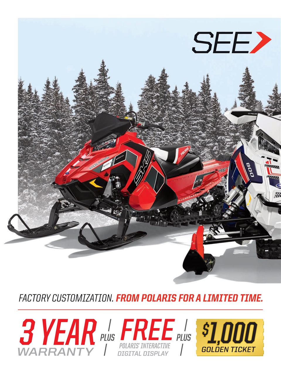 SnowGoer Preview Pages