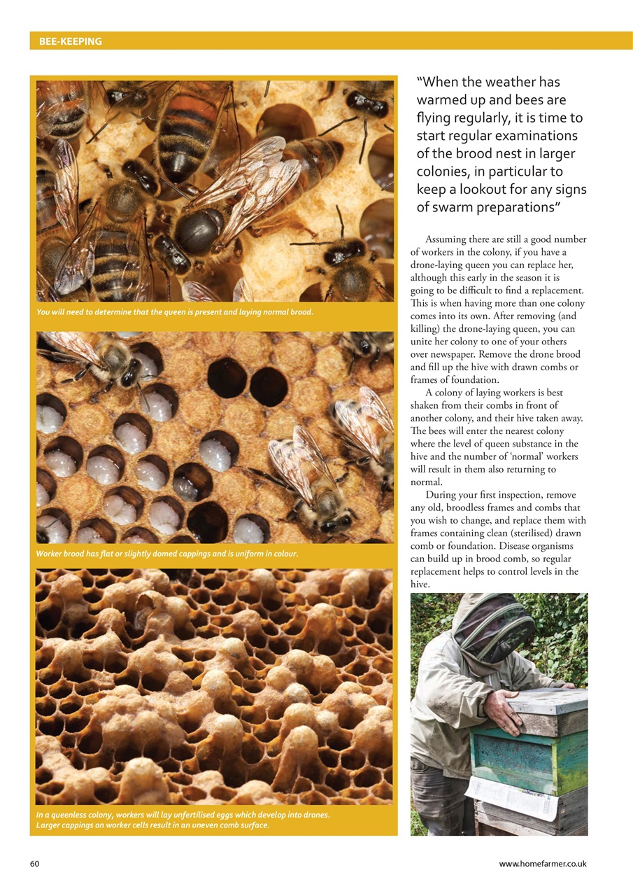 Home Farmer Magazine Preview Pages