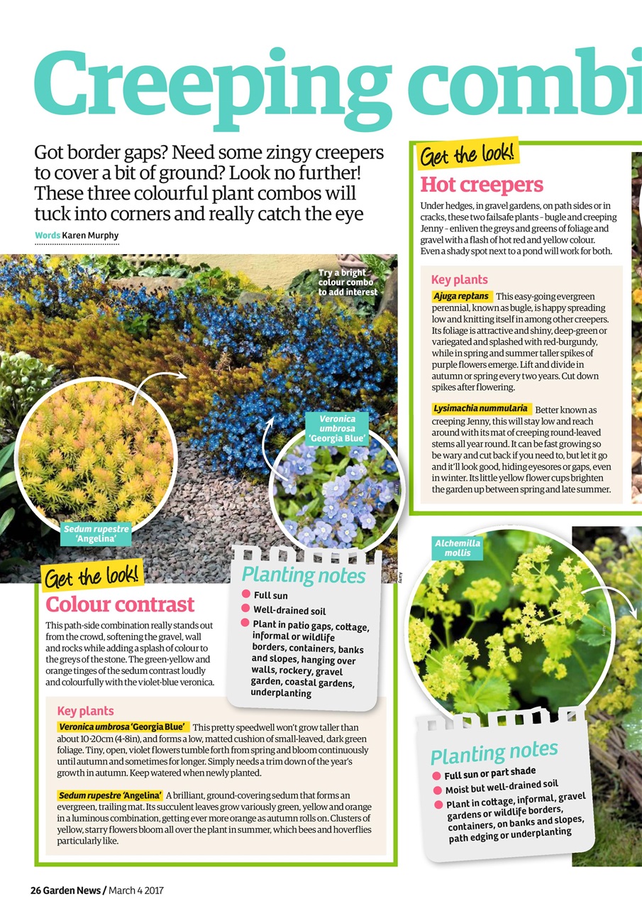 Garden News Preview Pages