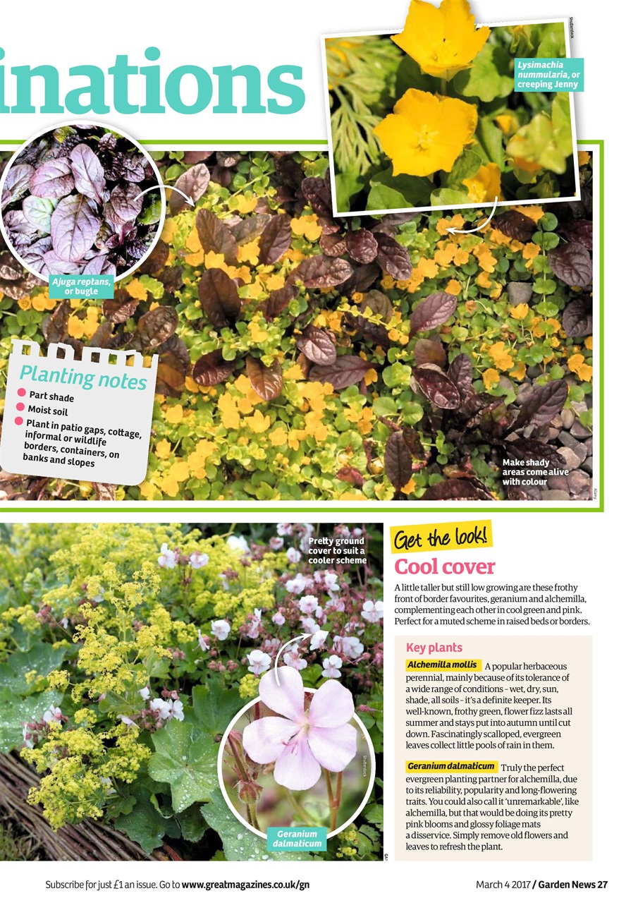 Garden News Preview Pages