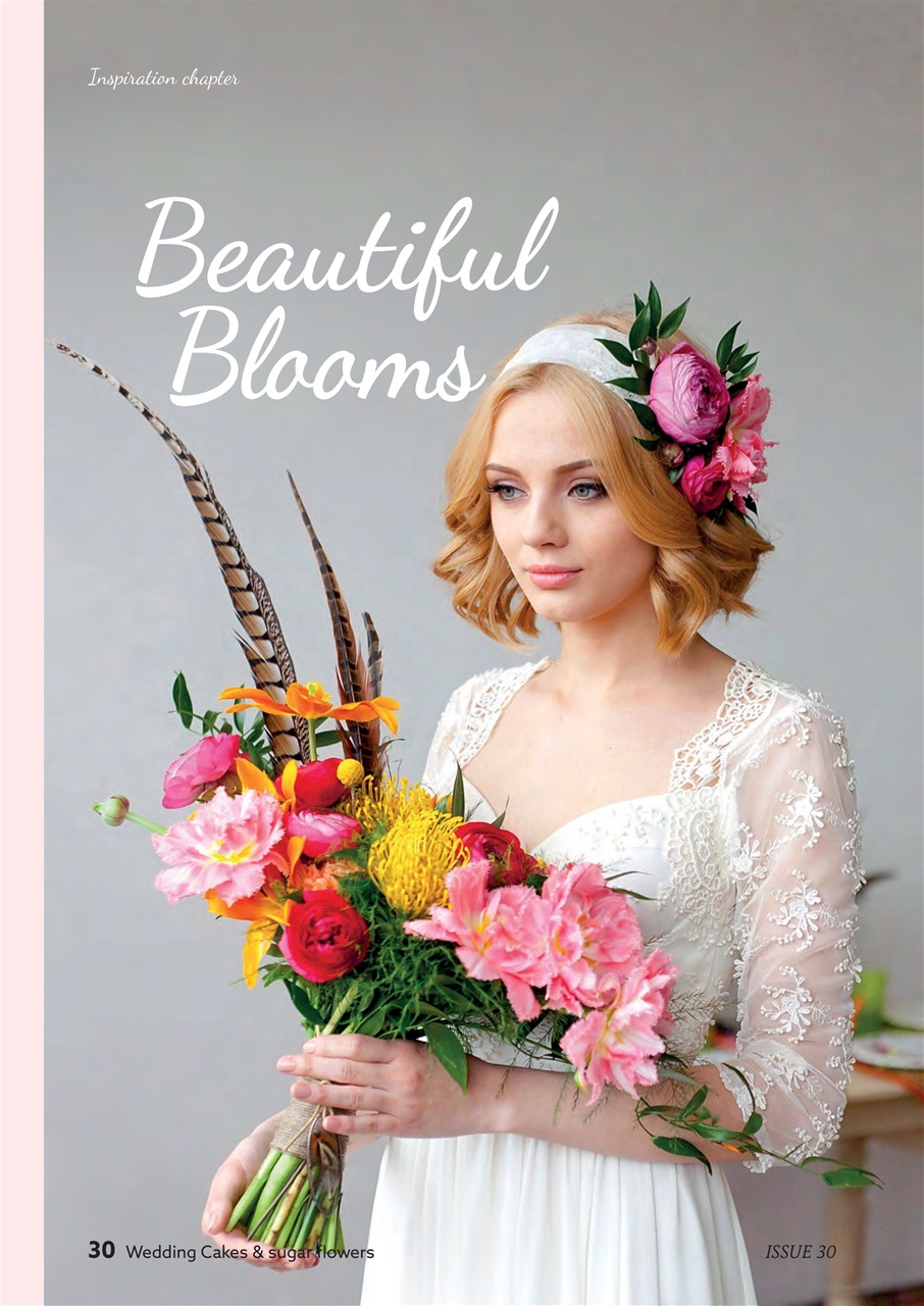 Cake Craft Guides Preview Pages