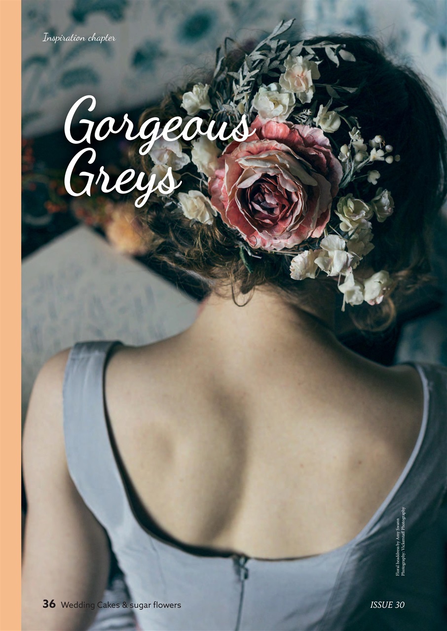 Cake Craft Guides Preview Pages