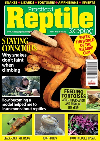 Practical Reptile Keeping issue March 2017