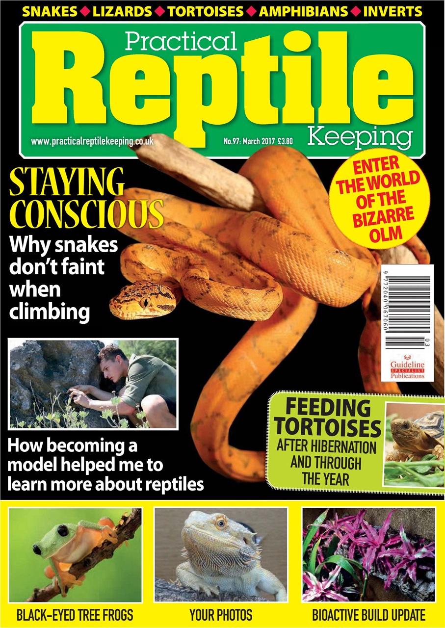 Practical Reptile Keeping Preview Pages