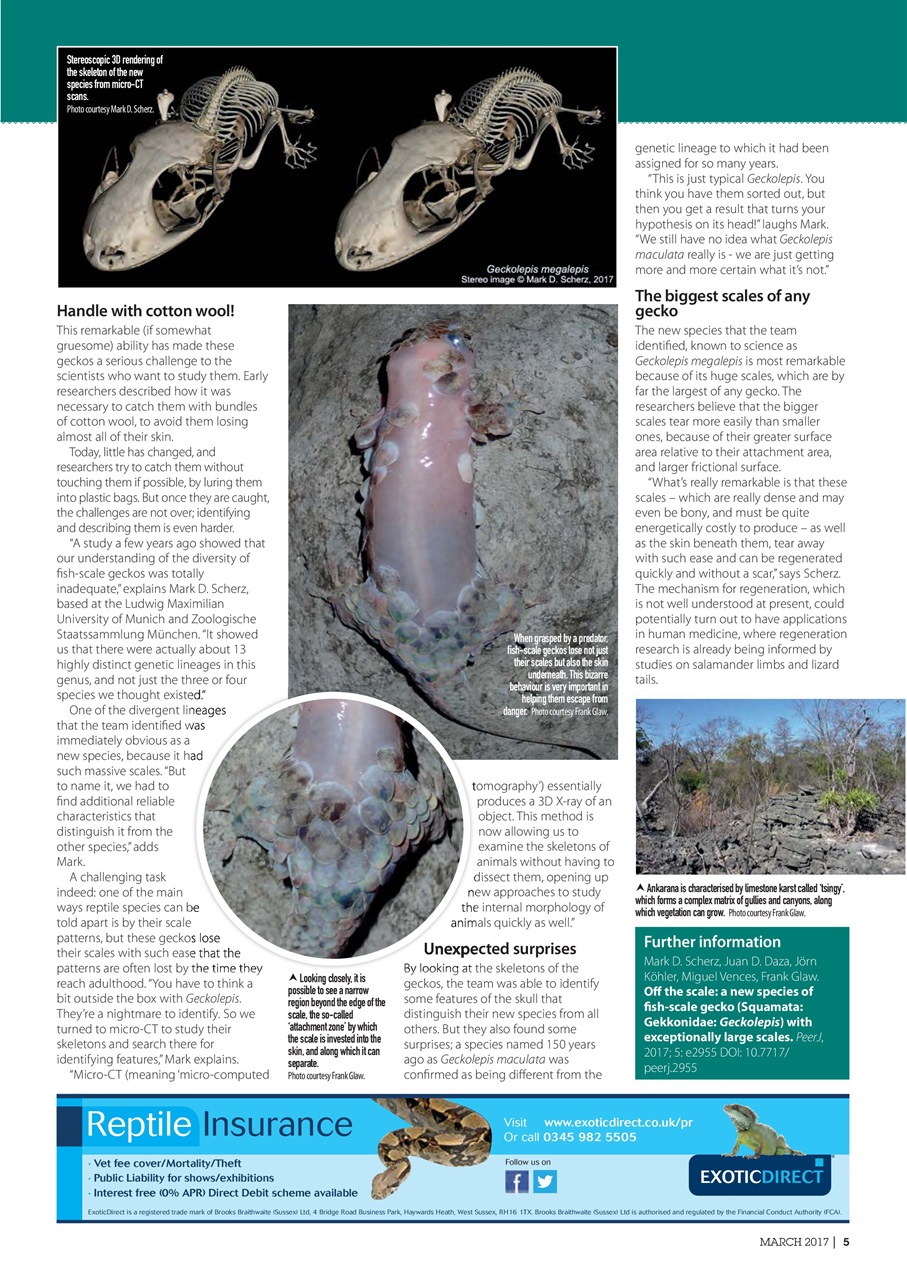 Practical Reptile Keeping Preview Pages