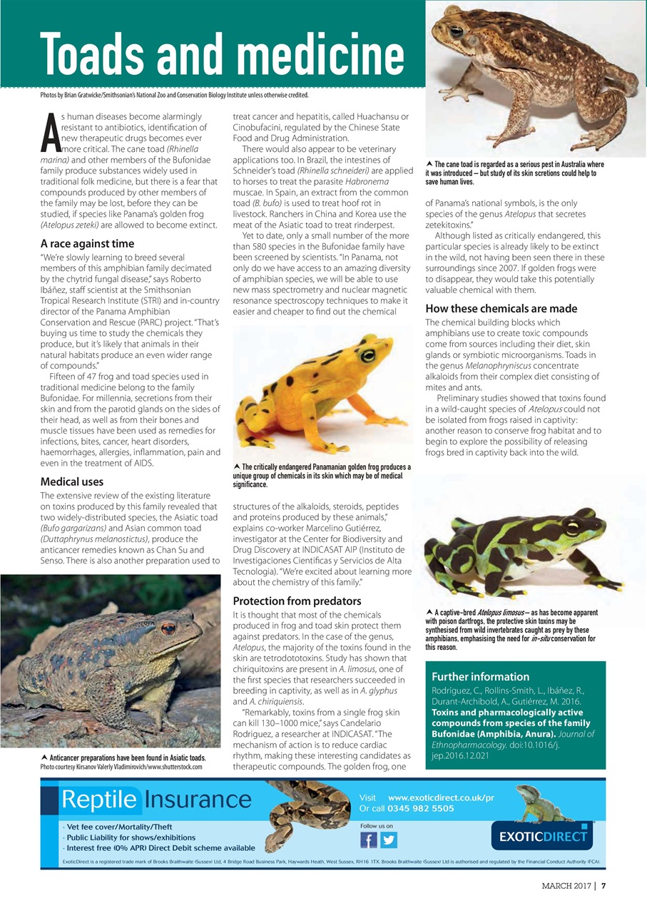 Practical Reptile Keeping Preview Pages