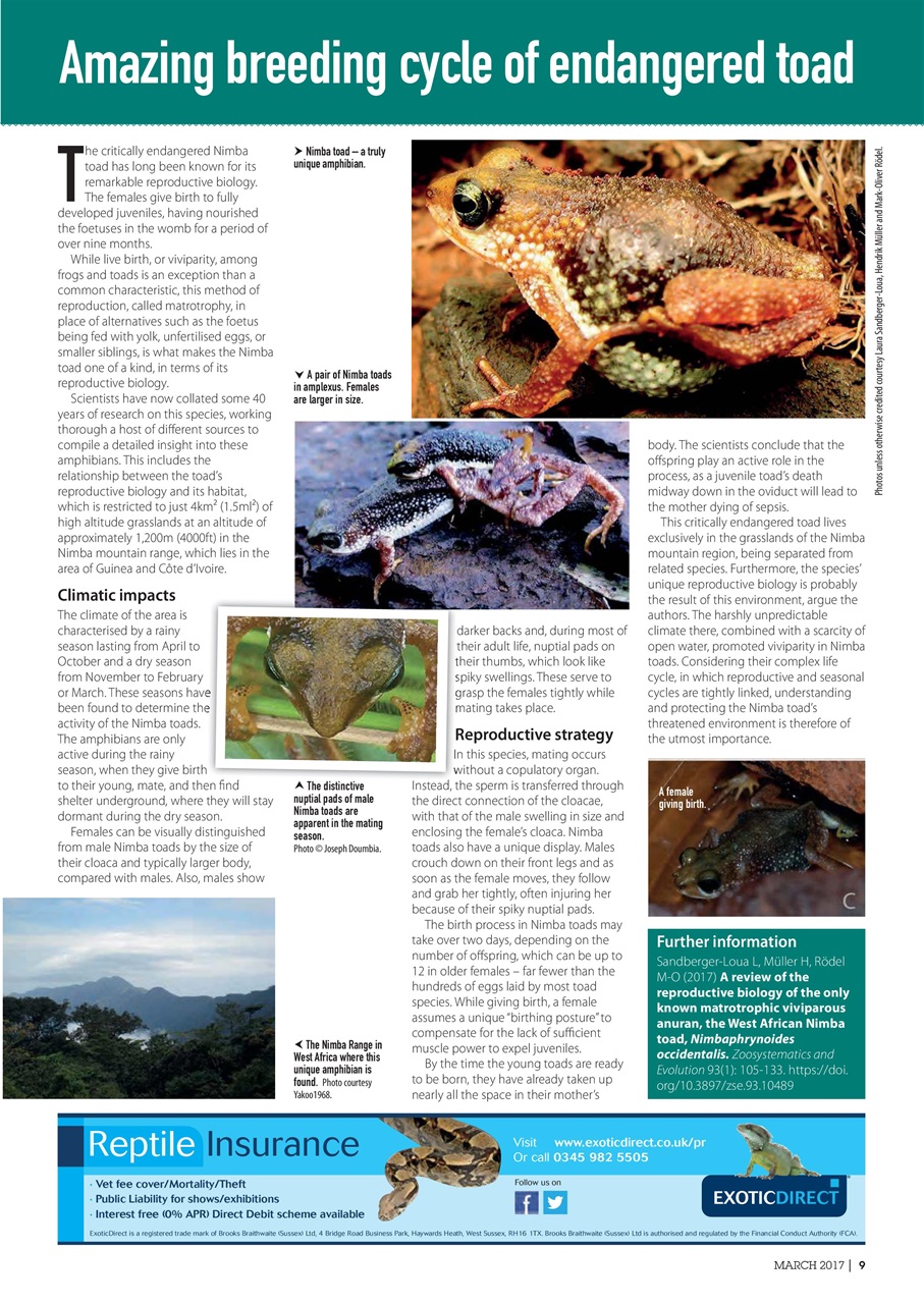 Practical Reptile Keeping Preview Pages