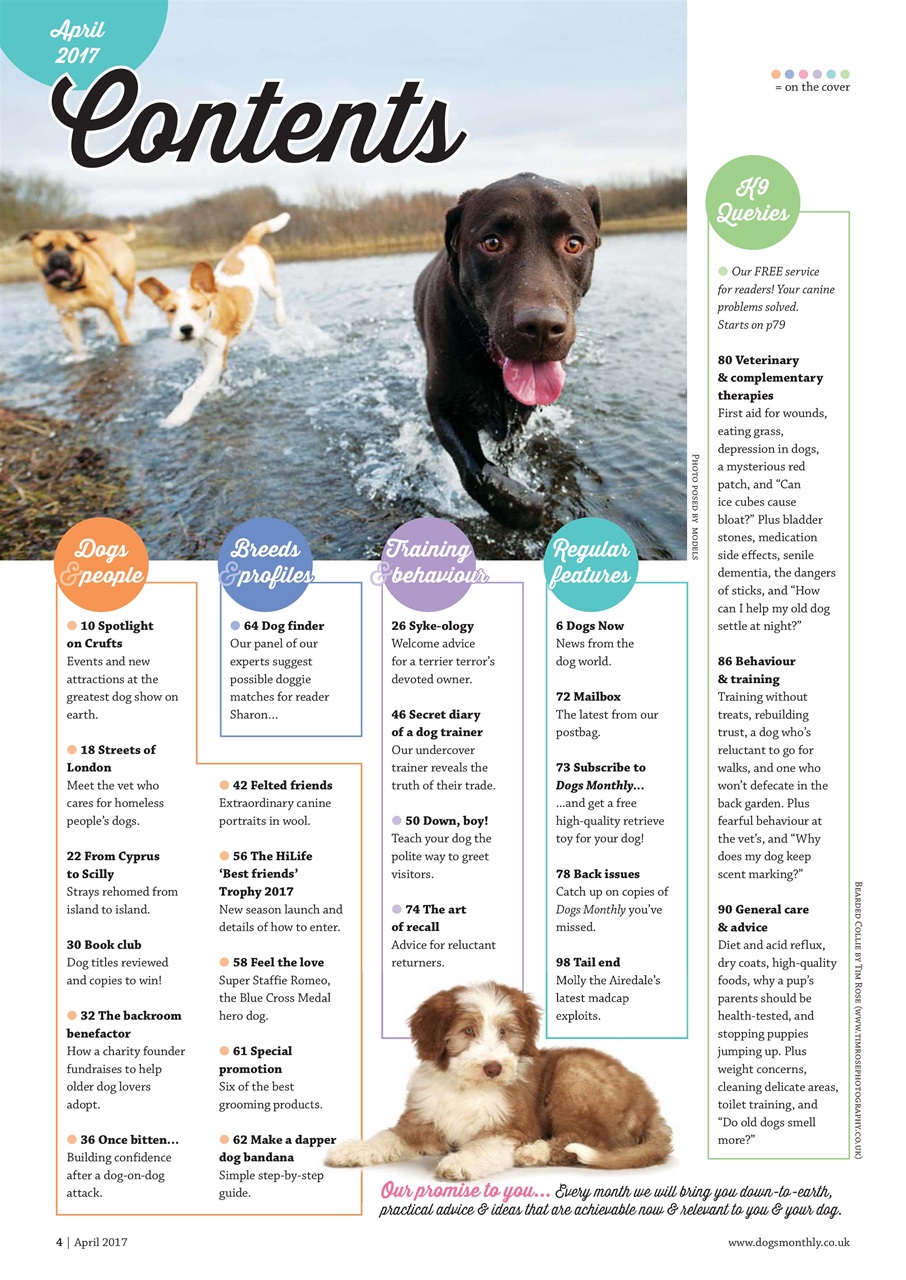 Dogs Monthly Preview Pages