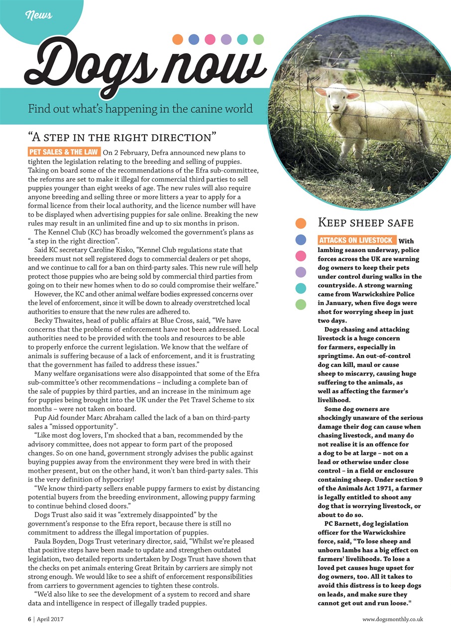 Dogs Monthly Preview Pages