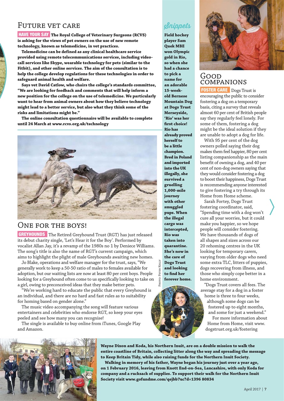 Dogs Monthly Preview Pages