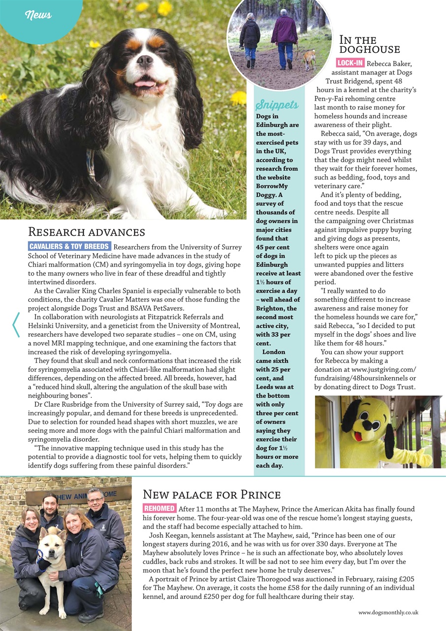 Dogs Monthly Preview Pages