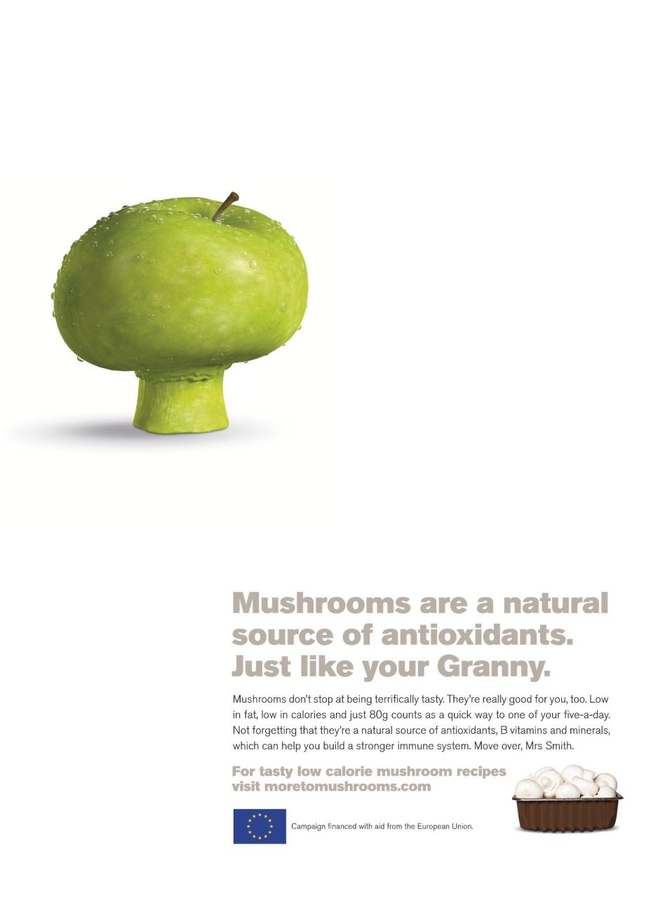 WW Magazine UK Preview Pages