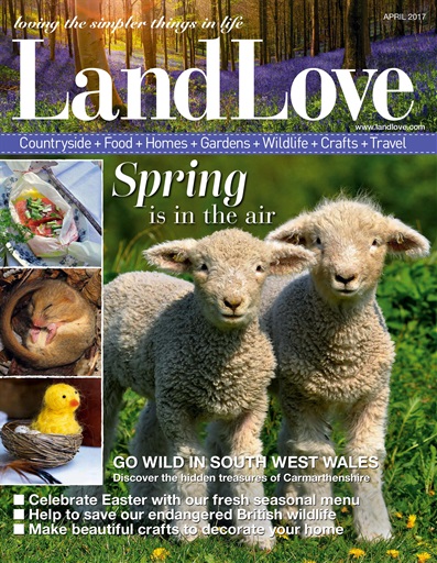 LandLove Magazine issue 