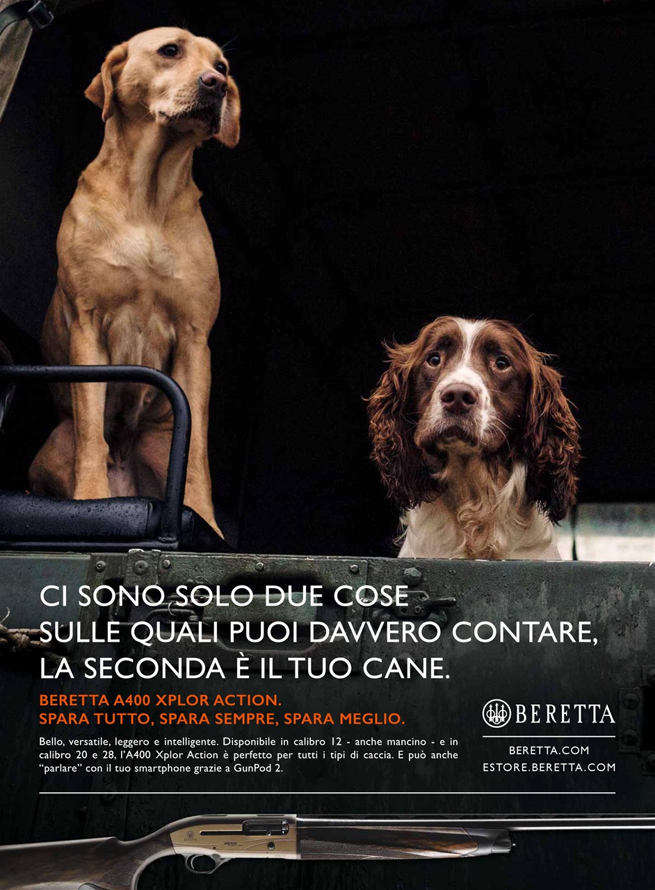 Armi E Tiro Preview Pages