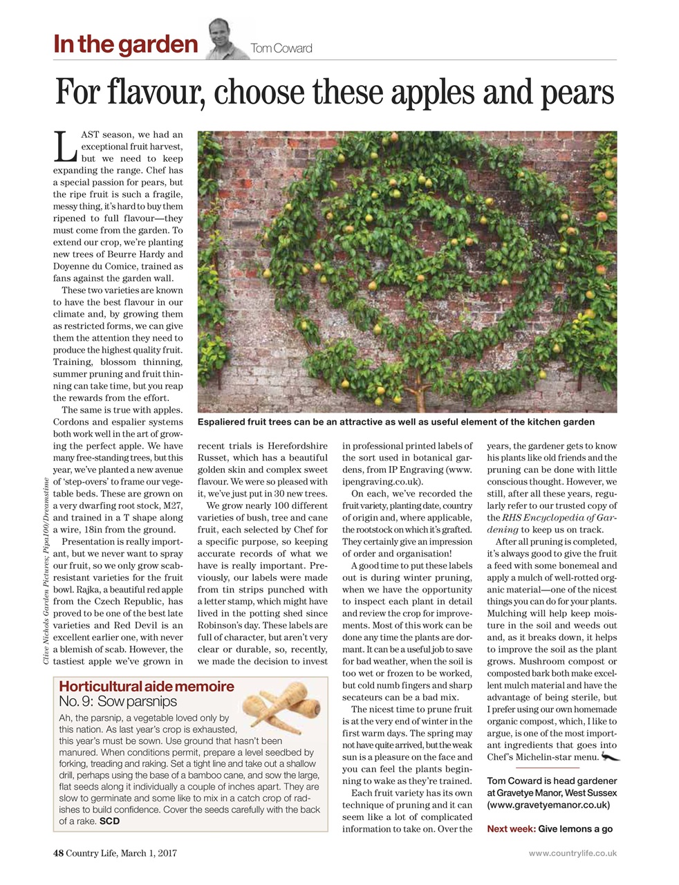 Country Life Preview Pages