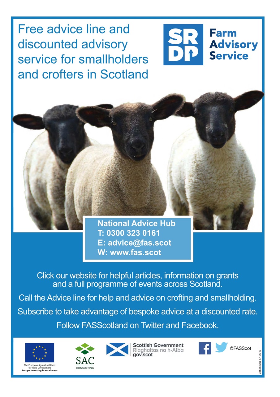 The Country Smallholder Preview Pages