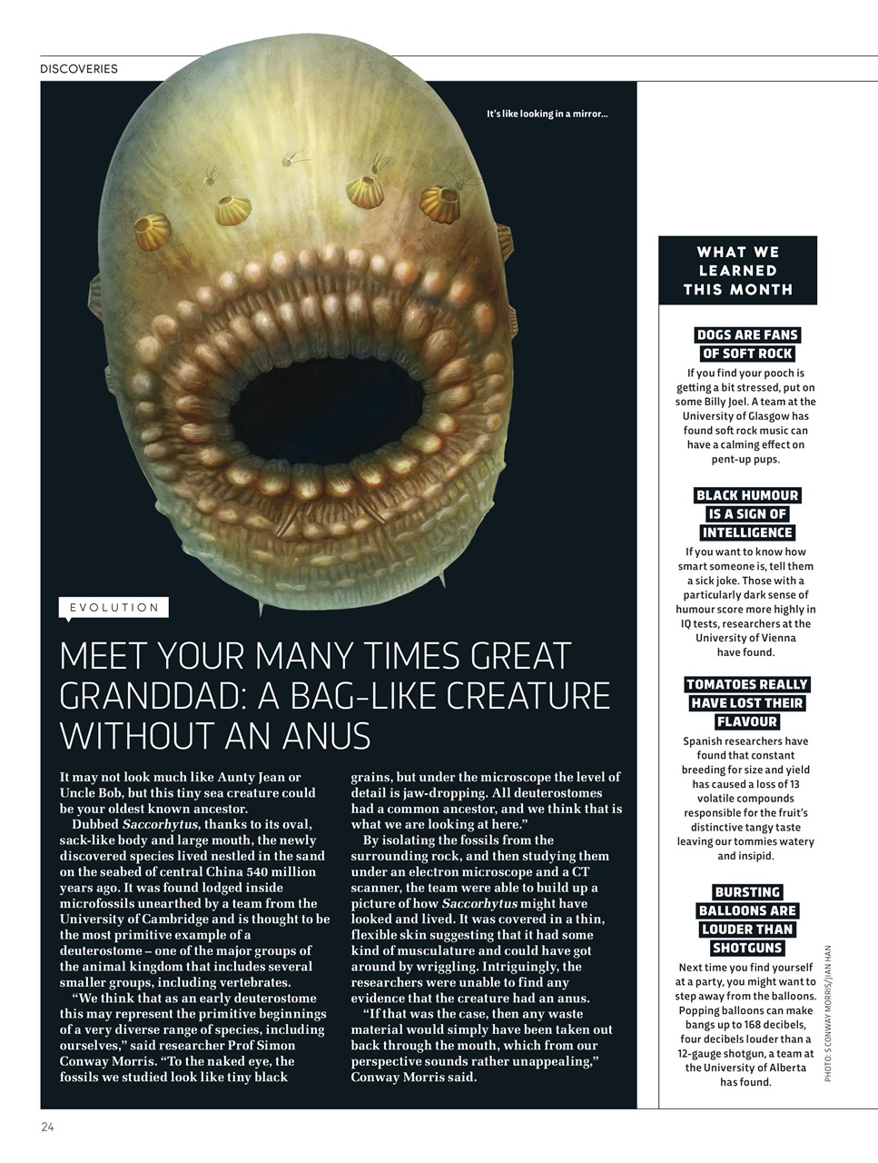 BBC Science Focus Magazine Preview Pages