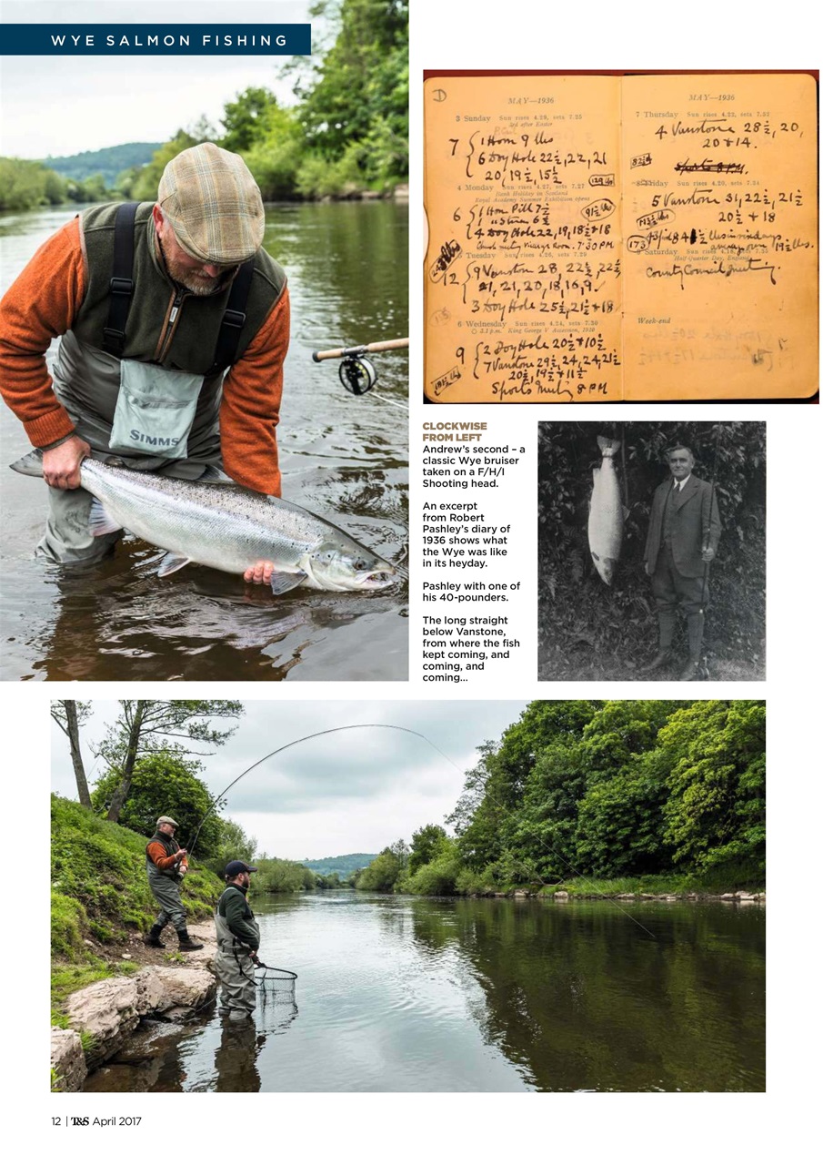 Trout & Salmon Preview Pages