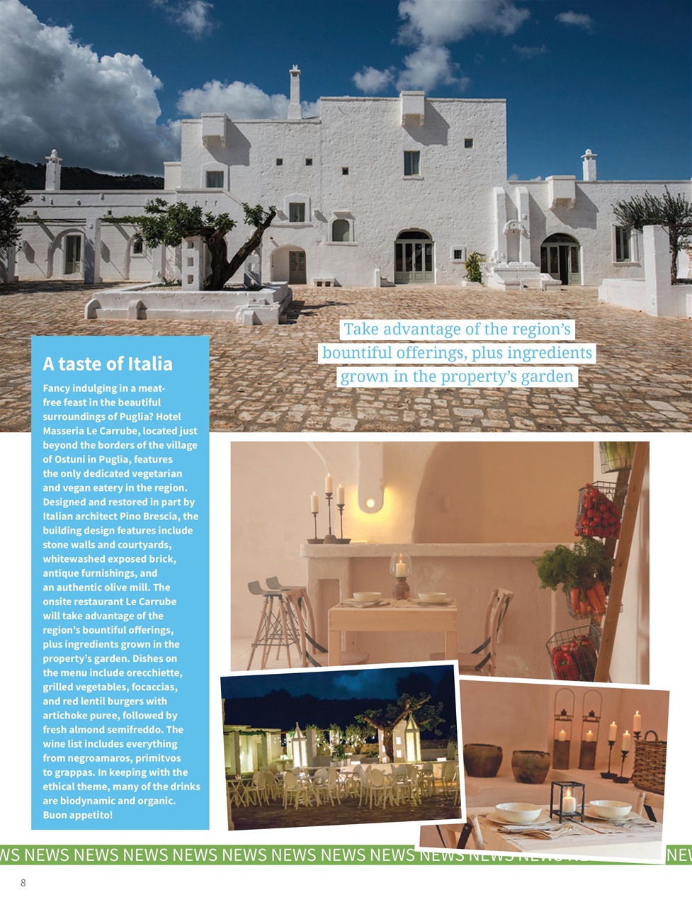 PlantBased Preview Pages