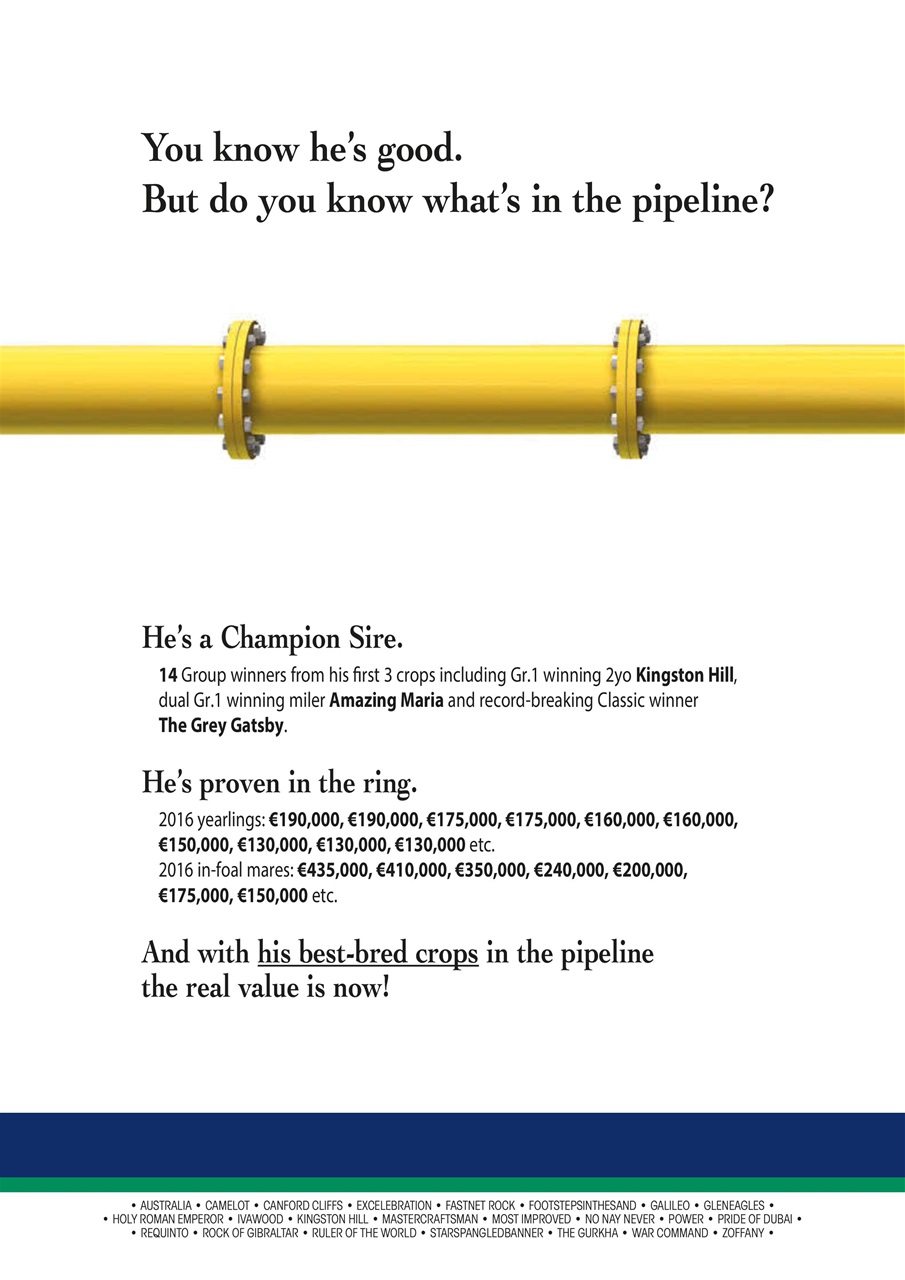 The Owner Breeder Preview Pages