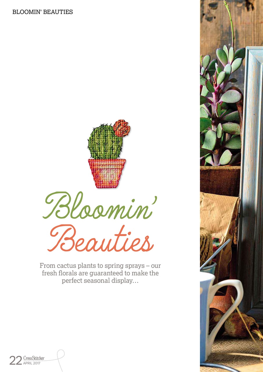 CrossStitcher Preview Pages