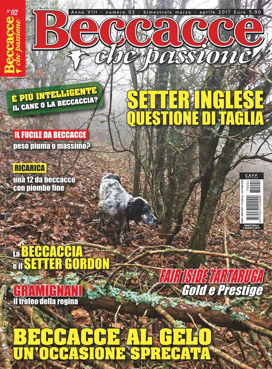 BECCACCE CHE PASSIONE Preview Pages