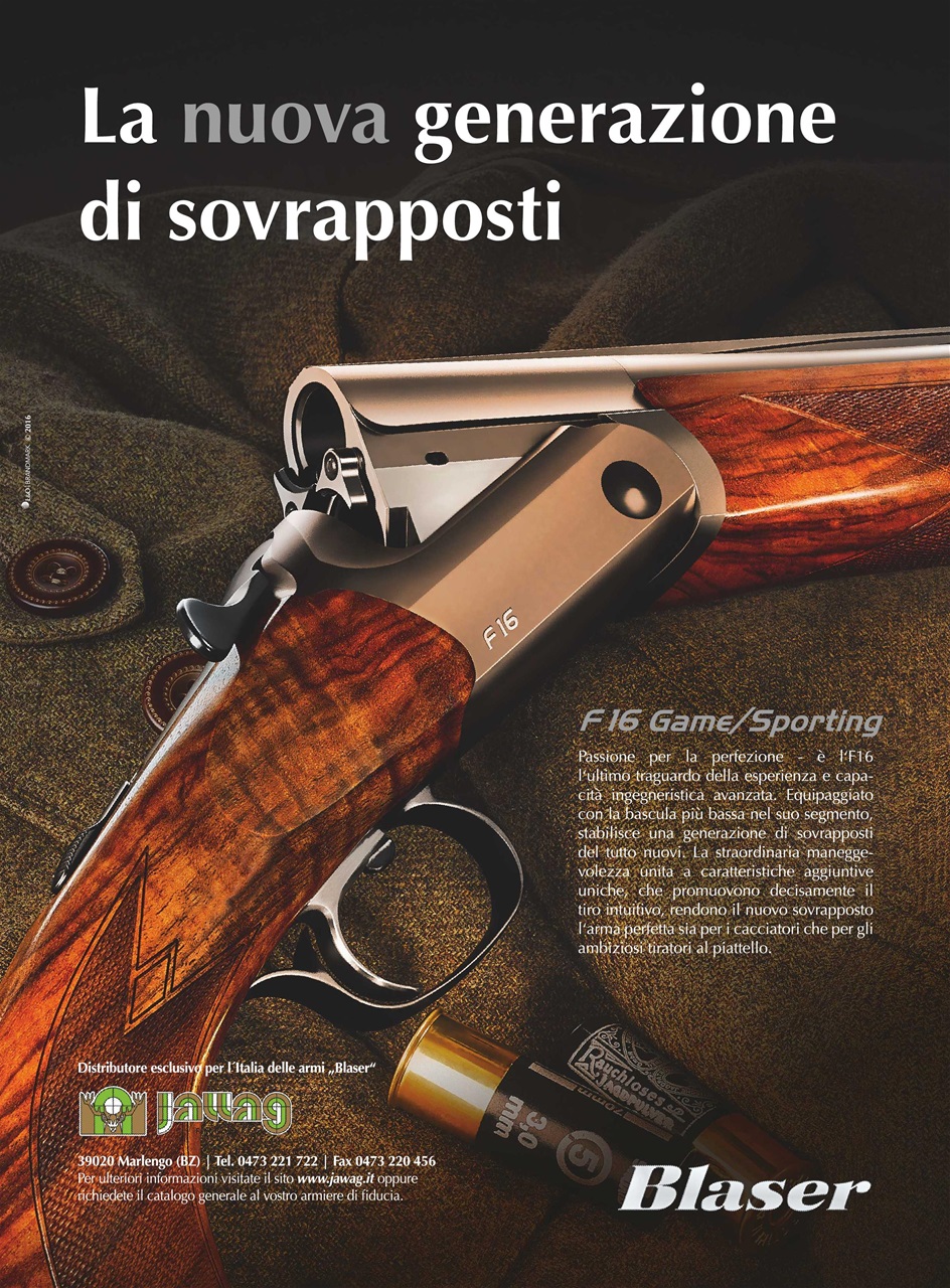 BECCACCE CHE PASSIONE Preview Pages