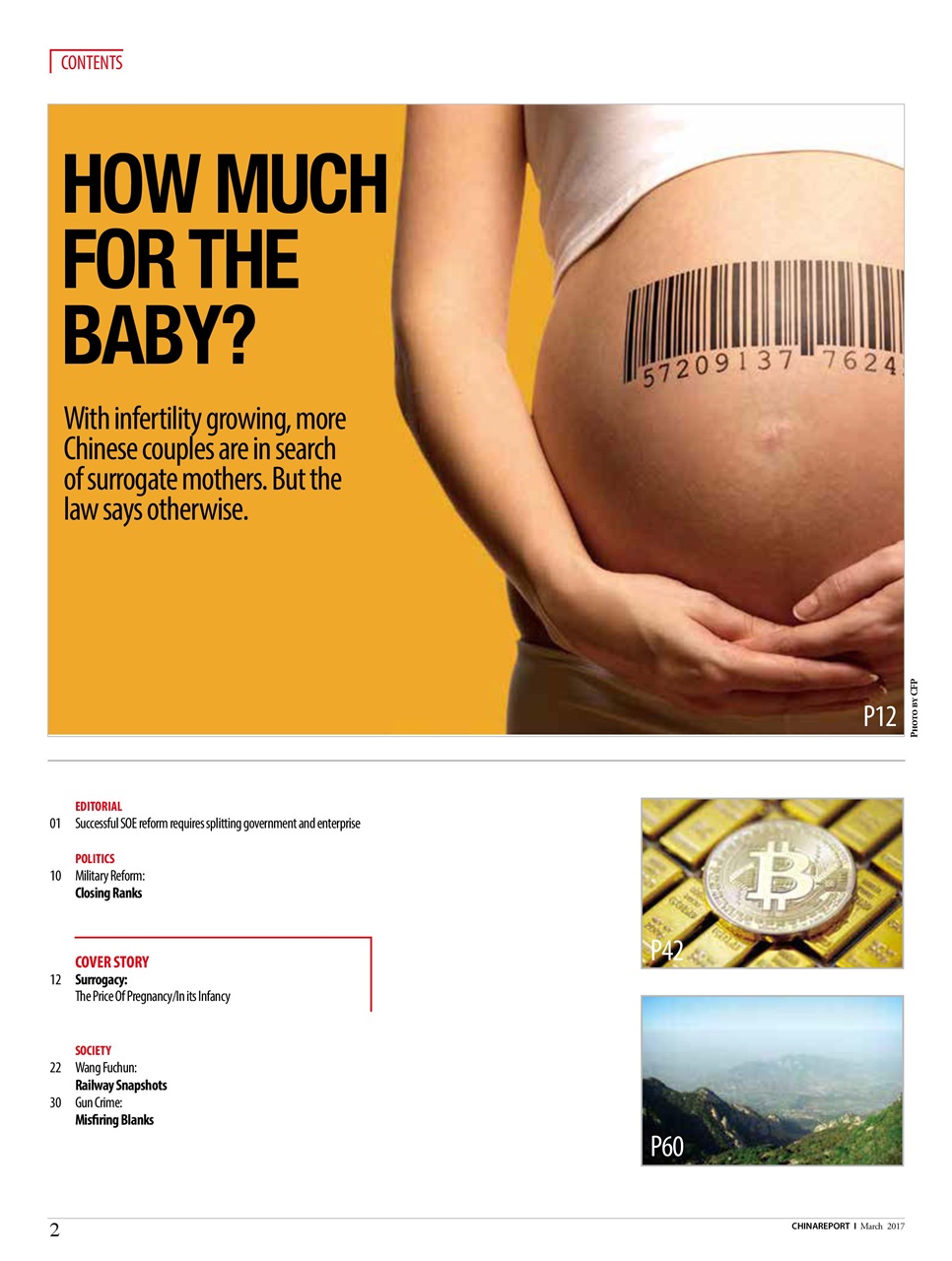 China Report Preview Pages