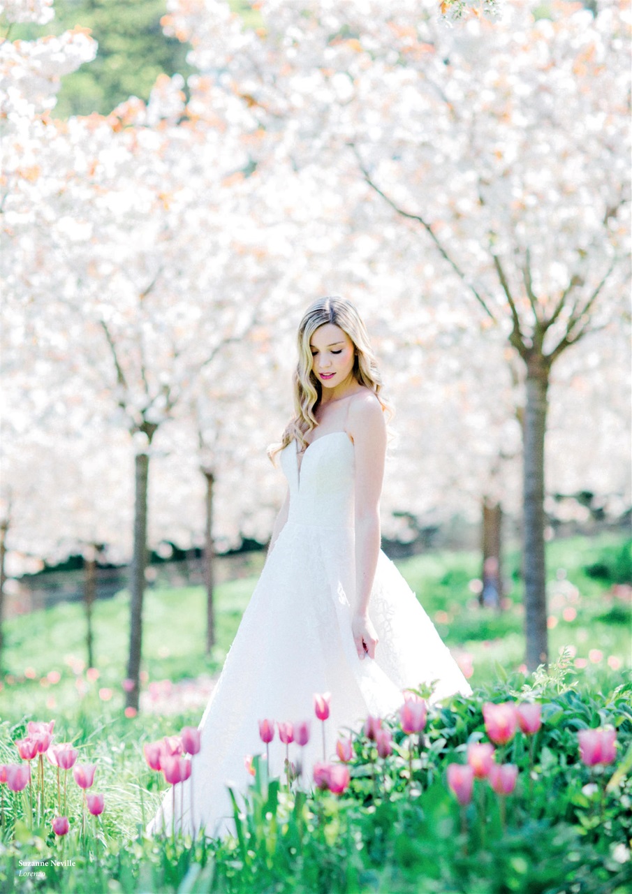 Unveiled Preview Pages