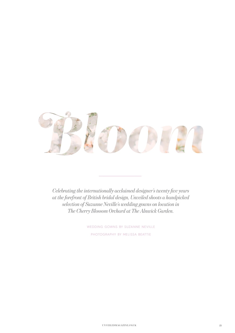 Unveiled Preview Pages