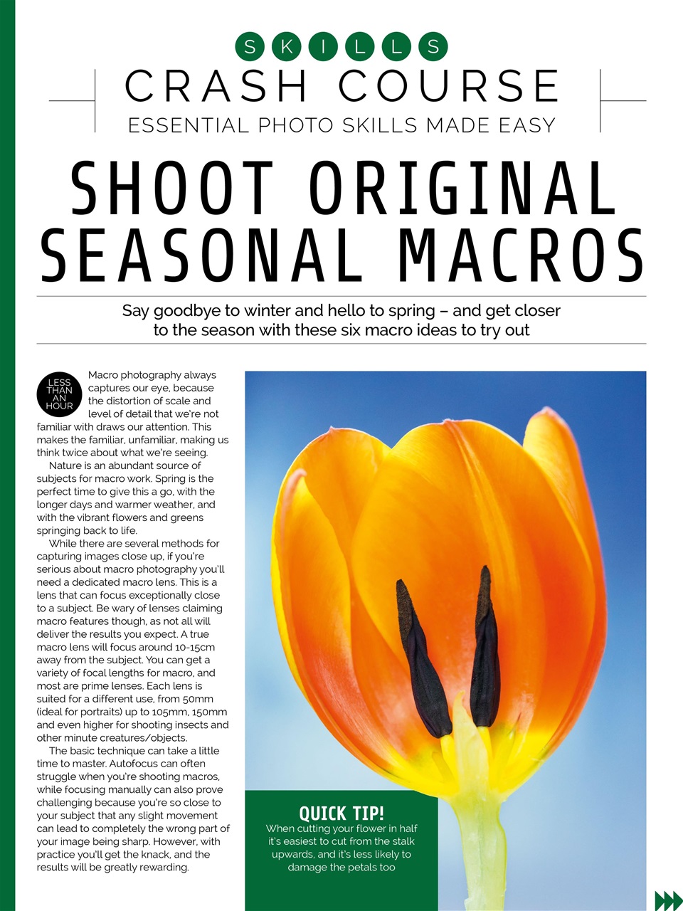 Photography Week Preview Pages