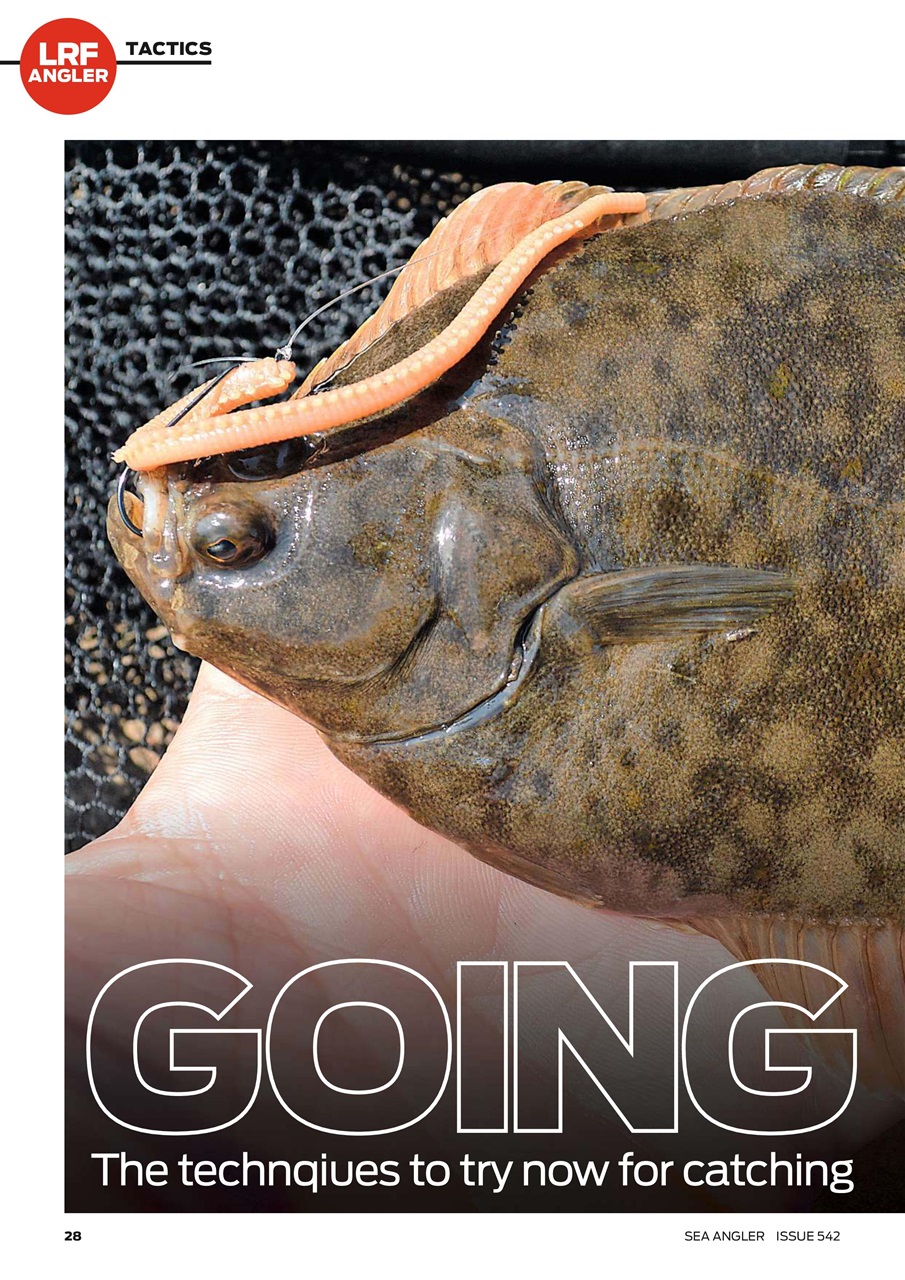 Sea Angler Preview Pages