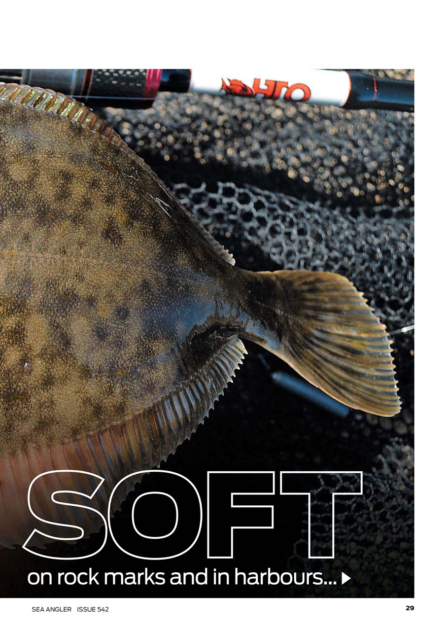 Sea Angler Preview Pages