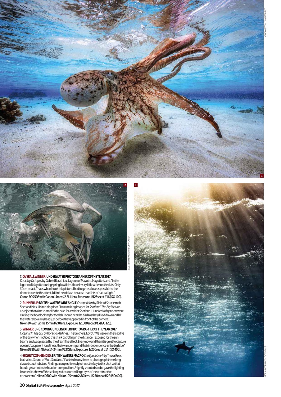 Digital SLR Photography Preview Pages