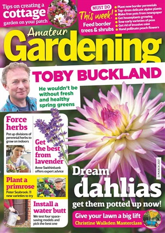 Amateur Gardening issue 11th March 2017