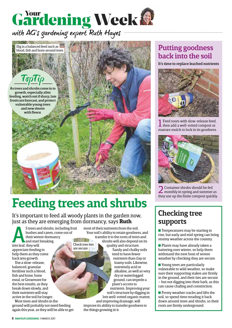Amateur Gardening Preview Pages