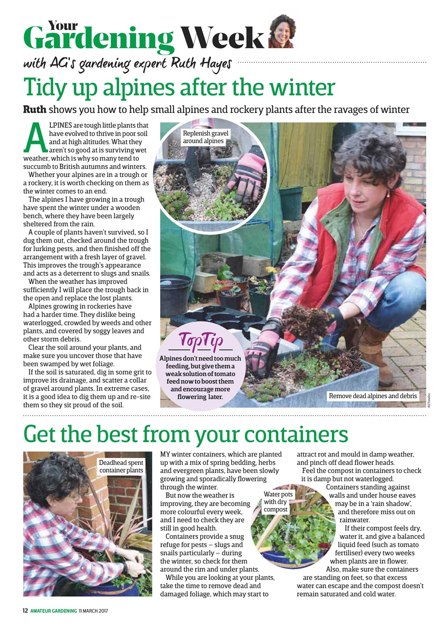 Amateur Gardening Preview Pages
