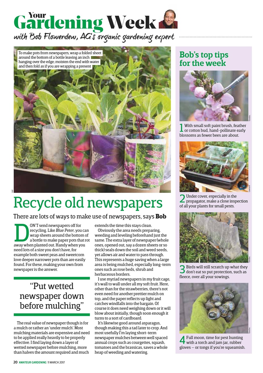 Amateur Gardening Preview Pages