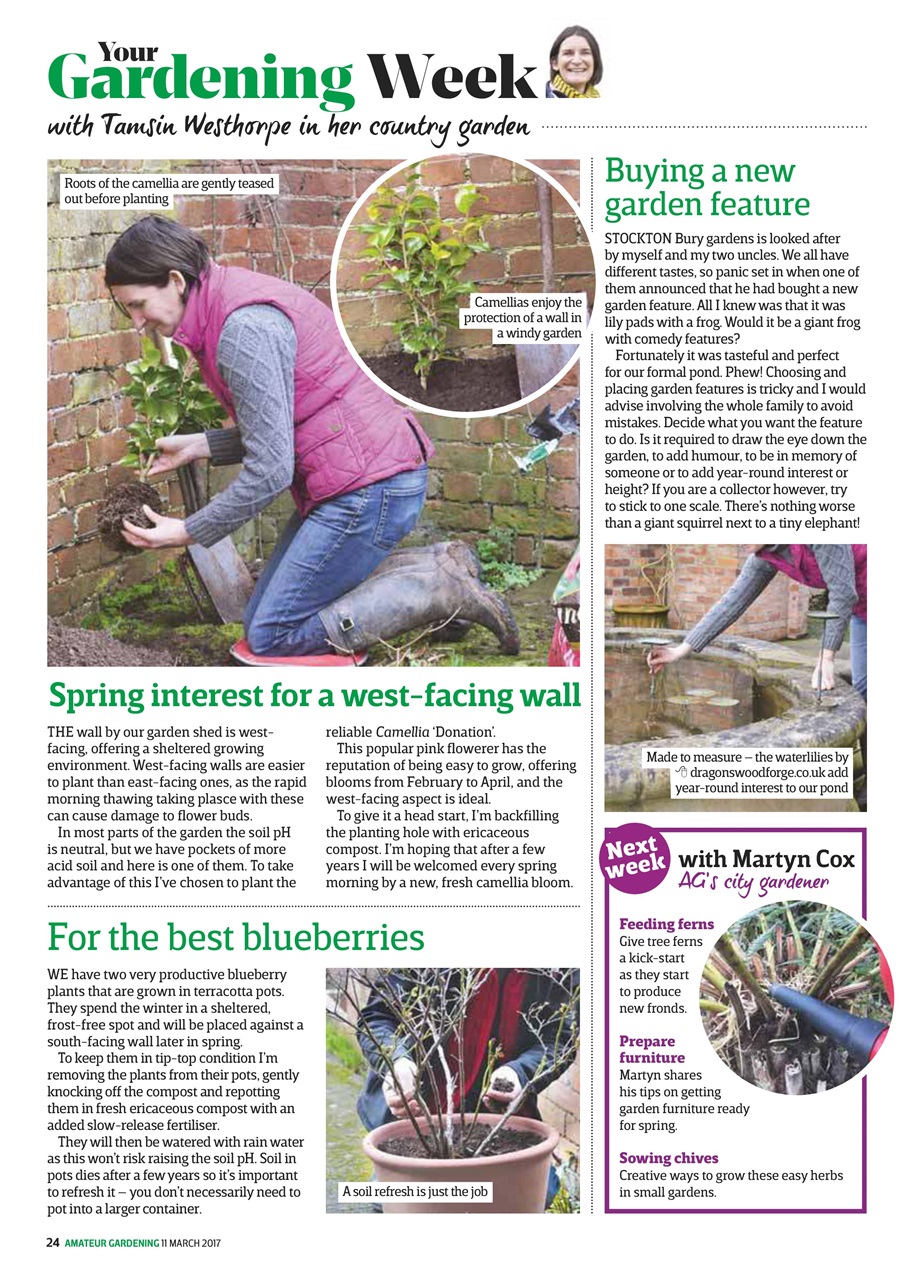 Amateur Gardening Preview Pages