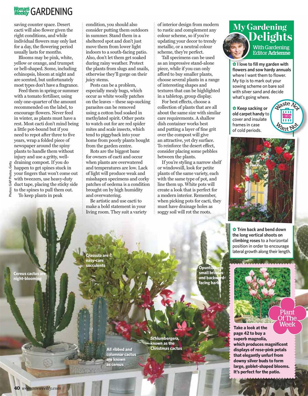 Woman's Weekly Preview Pages