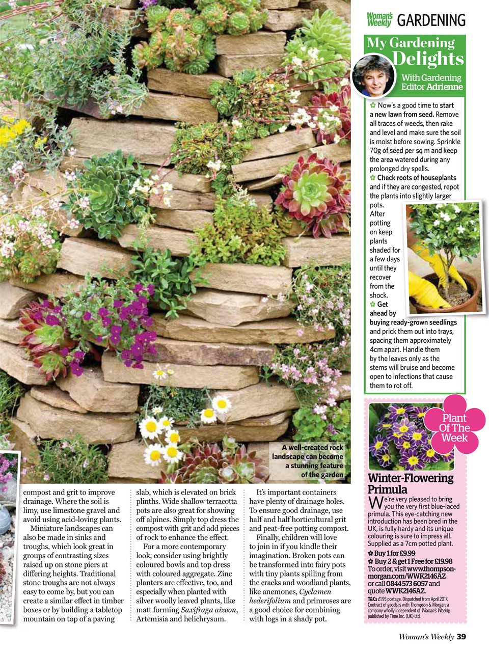 Woman's Weekly Preview Pages