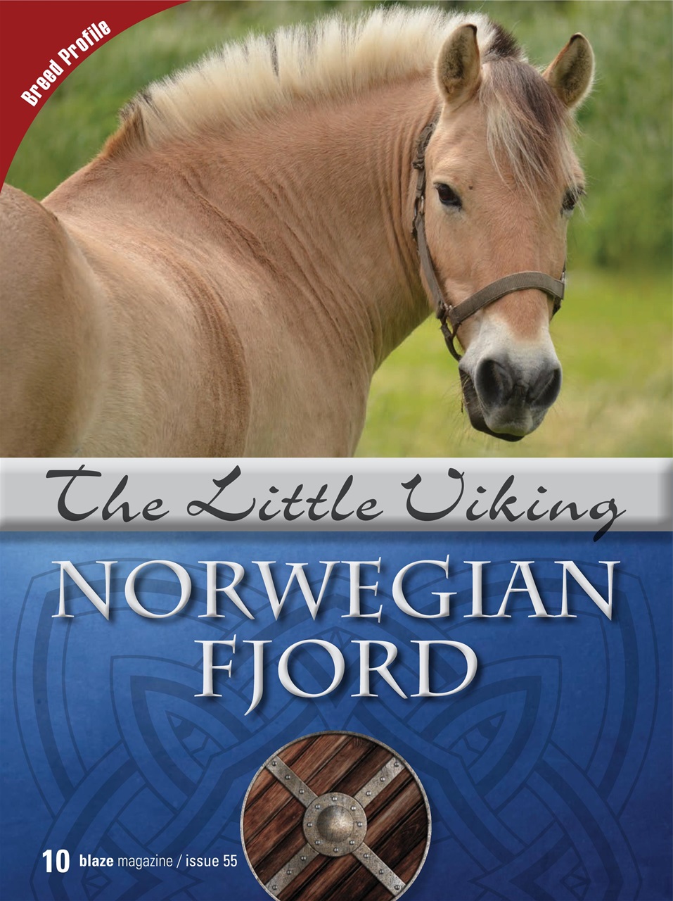 Blaze Magazine For Horse Crazy Kids Preview Pages