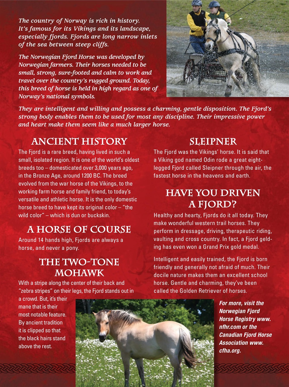 Blaze Magazine For Horse Crazy Kids Preview Pages