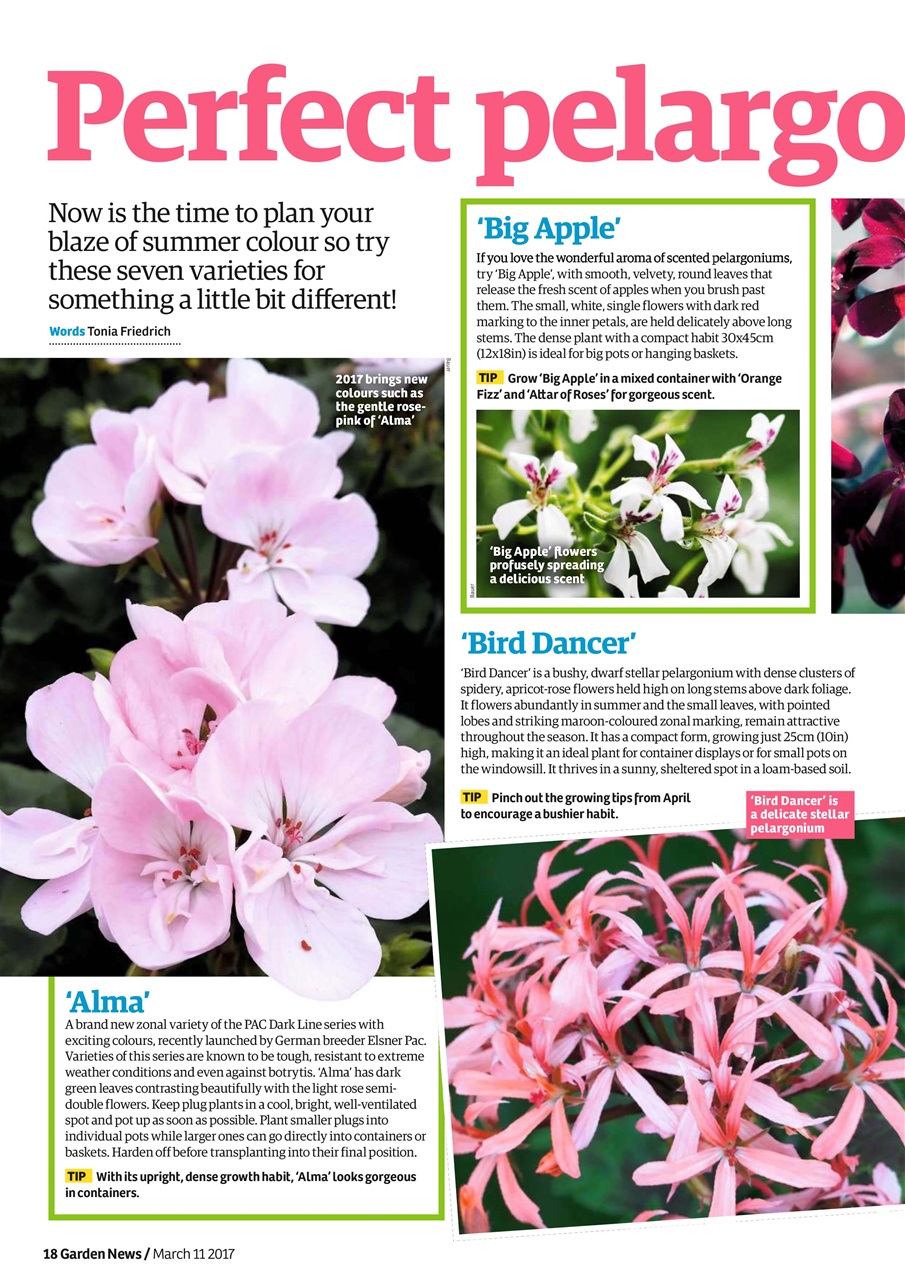 Garden News Preview Pages