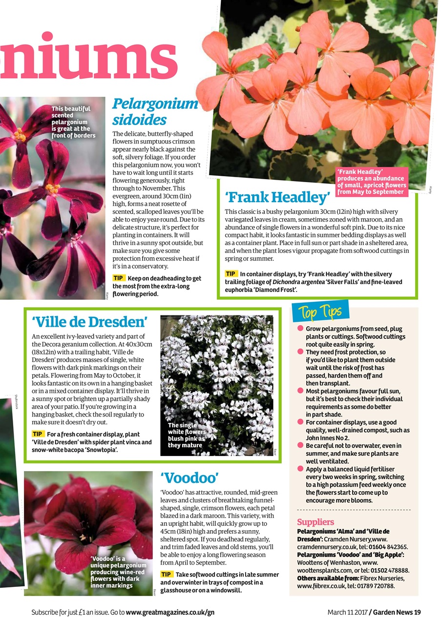 Garden News Preview Pages