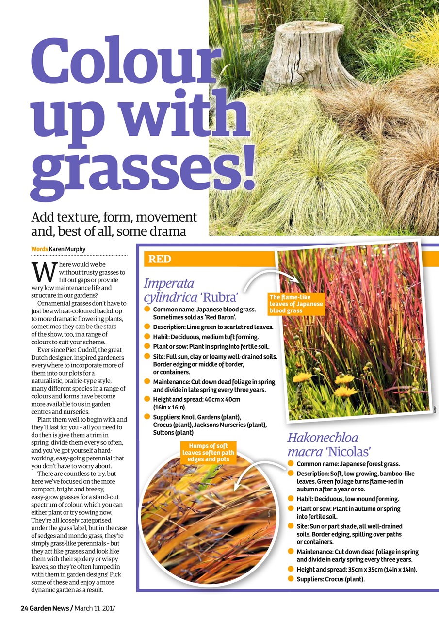 Garden News Preview Pages