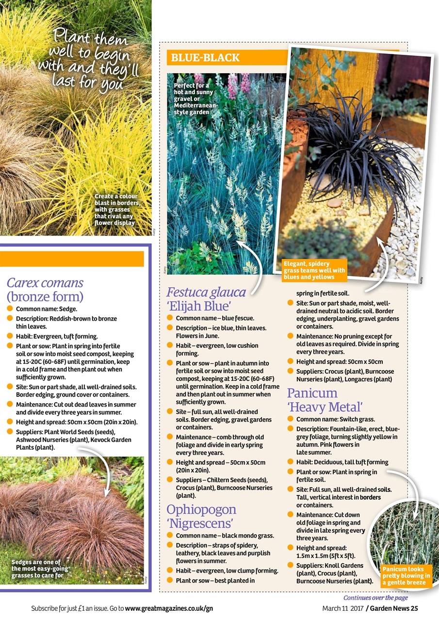 Garden News Preview Pages