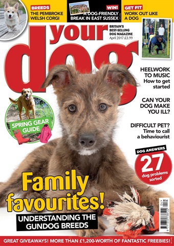 Your Dog issue Your Dog Magazine April 2017