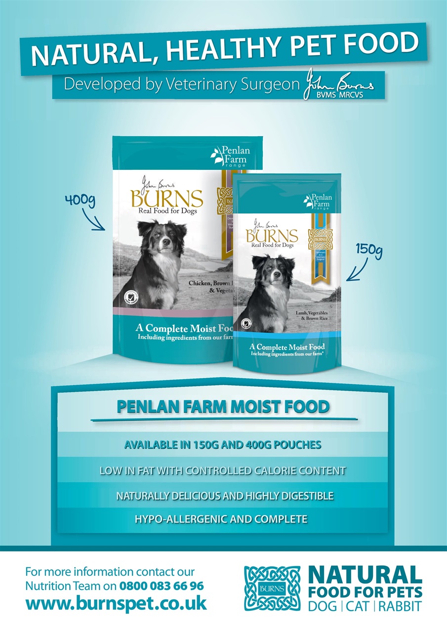 Your Dog Preview Pages